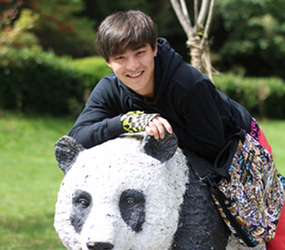 ����������ԭ����ʲô