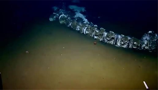 海底惊现12米巨龙图片 青海湖海底真龙相关传说