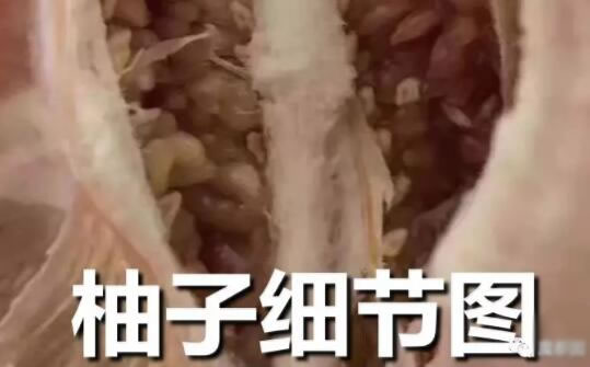 1118是什么意思你懂吗 出自哪里的