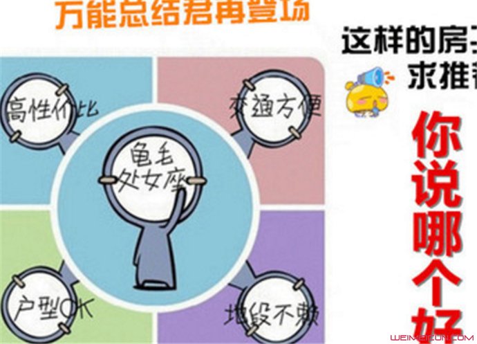 ��ëʲô��˼�������� ������ëʲô��˼