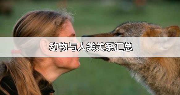 �����붯��֮��Ĺ�ϵ��ʲô ����ֻ��һ�ָ߼��������