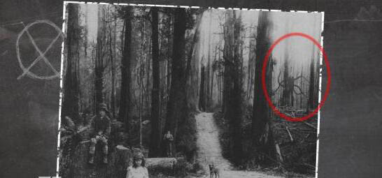 ˹��������ʵ��Ƭ ���˻��ǹ���Ĵ�����