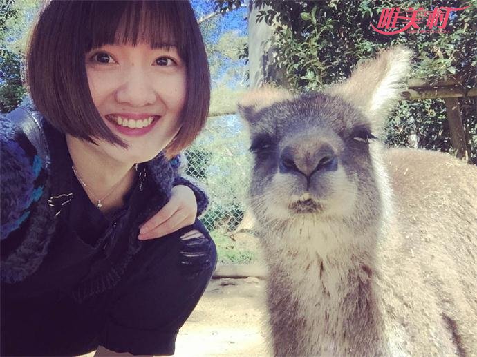 ��С���ļ������� ��С���ĸ�����˭