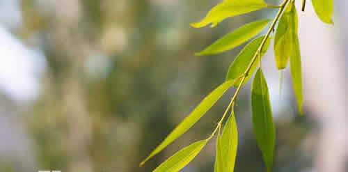 ����˫��Ƥ�ǹ����� �۾�һ��һ˫�ܿ�������