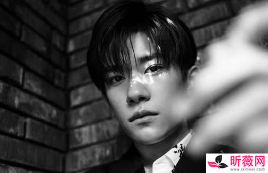 李宏毅的哥哥叫什么名字 李宏毅怎么出道的