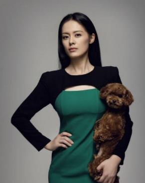 ���ϵĸ������ϼ������ ���ϵĵ��Ӿ���Ʒ