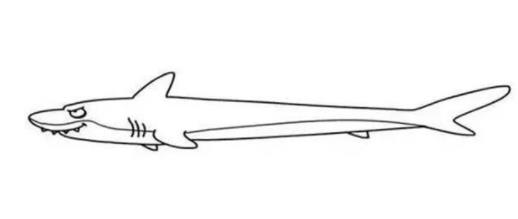 ��ͼ�µ����𰸼�ͼƬ 99%���˶��´�