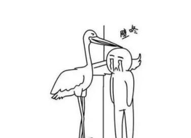 ��ͼ�µ����𰸼�ͼƬ 99%���˶��´�