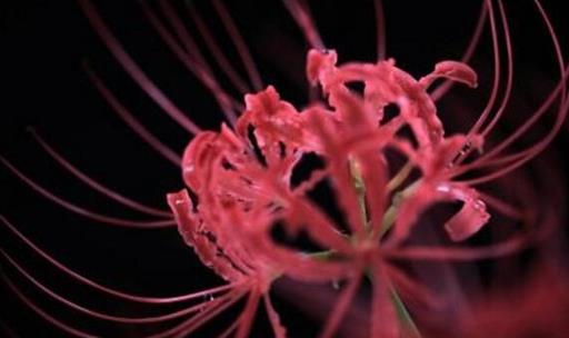 ڤ���Ļ���Ĵ����� ڤ���Ļ��ֱ������ĸ�