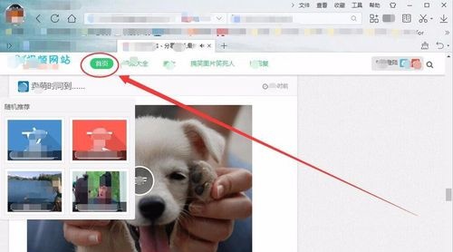 大家说的91怎么进 91视频怎么才能看