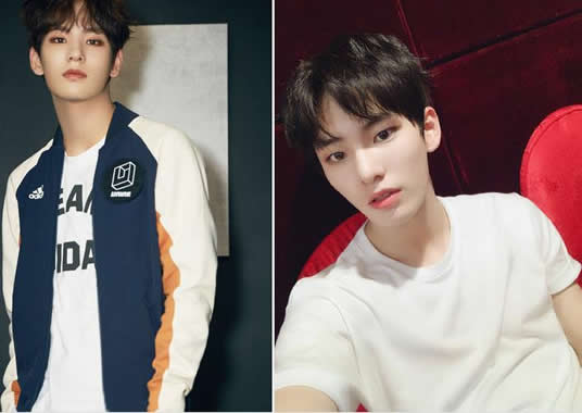 Ҧ�����������ϼ������ Ҧ�������ĸ���˾��