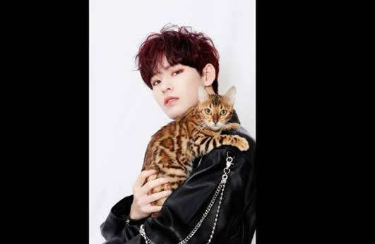 Ҧ�����������ϼ������ Ҧ�������ĸ���˾��