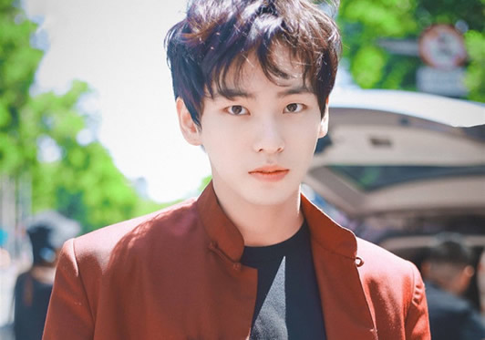 Ҧ�����������ϼ������ Ҧ�������ĸ���˾��