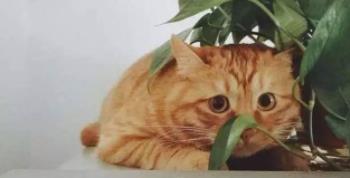 Ӳ����Ů303��Ա�������� ˭������ÿ�