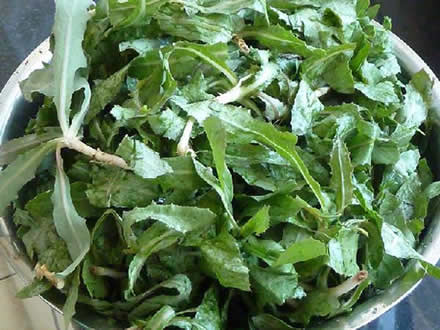 �������ͼƬ��ȫ �����ʲô��ͼƬ