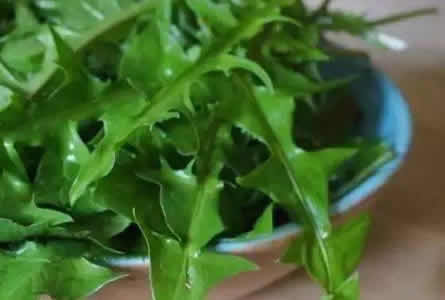 �������ͼƬ��ȫ �����ʲô��ͼƬ