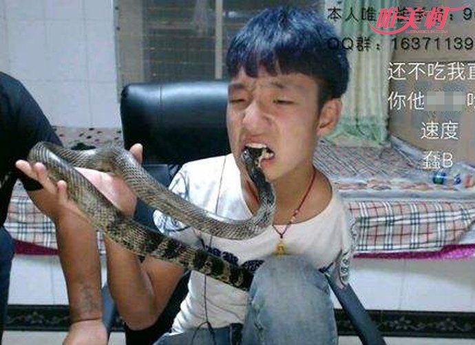 �����ʤ���ʺֱ�� ���������������ɱ��