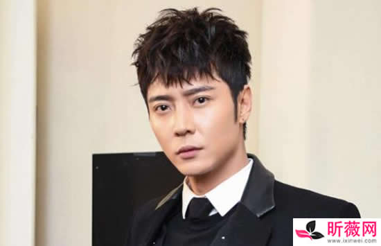 张丹峰个人资料简介 张丹峰和老婆洪欣离婚了吗