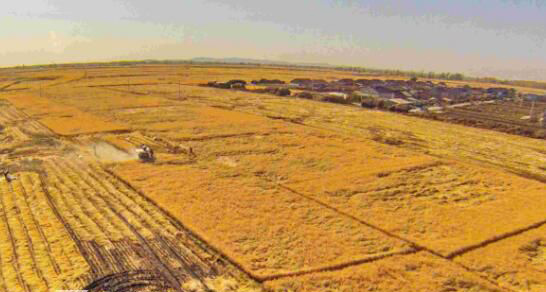 ����������ʲô��˼ �����������¼�ʼĩ