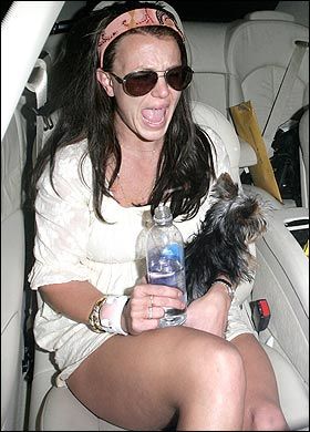 ������������������ �������߹���Ƭ