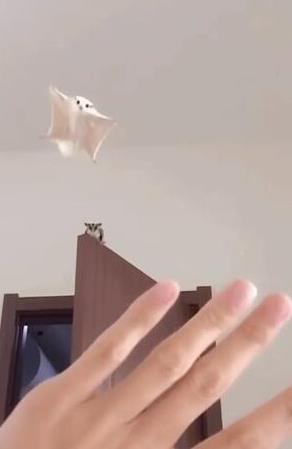 李玲玉个人简历丈夫是谁 她的几段婚姻