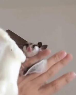 李玲玉个人简历丈夫是谁 她的几段婚姻