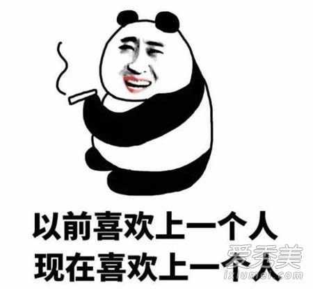 ��������˵�Խ���ʲô��˼ ������˵����Ľ���