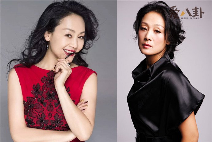 王姬的丈夫高峰是干什么的 为了儿子差点离婚了