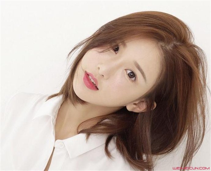 fancystyle�������ϱ����������� ����������