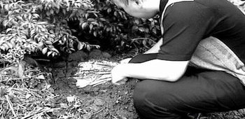 中国十大恐怖凶杀案 中国十大变态凶杀案件