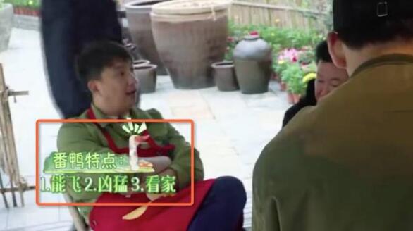 尼古拉斯彩灯是什么鸟 是会思考的番鸭