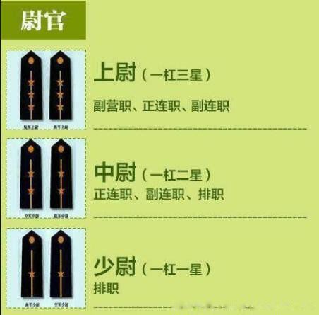 ���εȼ�������С����ͼƬ �ҹ����ξ�ְ����֪ʶ��ȫ