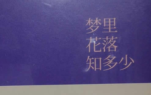 Ů������Ƽ� �ʺ�Ů������С˵�Ƽ�10��