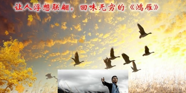 鸿雁歌曲的原唱是谁?备受音乐人的喜爱