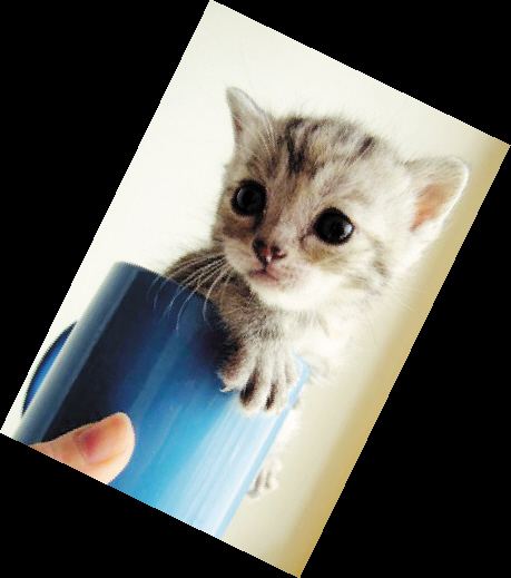 �豭è����һ���Ƕ����� �豭è����Ǯһֻ���