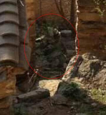 ���Ŵ������¼�������� ���Ŵ��ֹ��Ǽٵ�