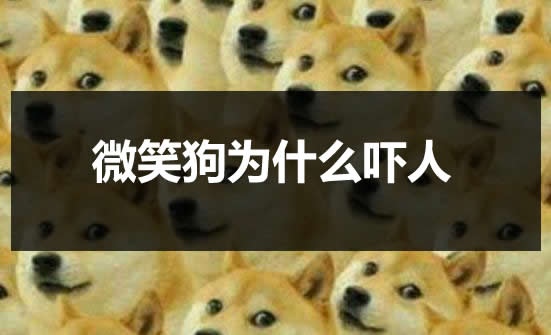 ΢Ц����������ʲô Ϊʲô΢Ц��������