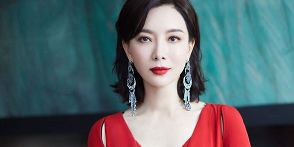 陈数的有自己的孩子吗 陈数为什么不能生育