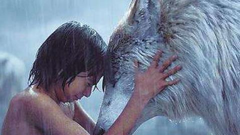 ����ʮ���޺�ͼƬ �޺���������ʲô