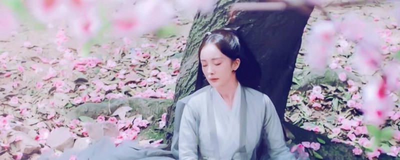 ��ǳ�ָ����䱨���ǵڼ��� �ָ������ǵ�54��