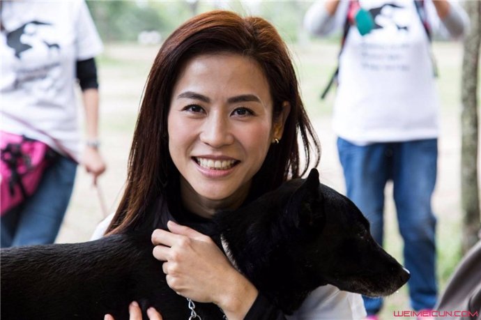 Ҷ诺����泤�ĺ��� ��ô����