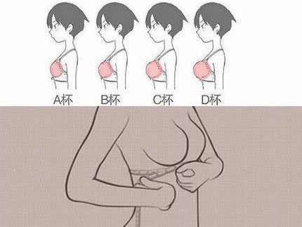 ��Χabcd��ô�ִ�СͼƬ �ֱ�����Դ