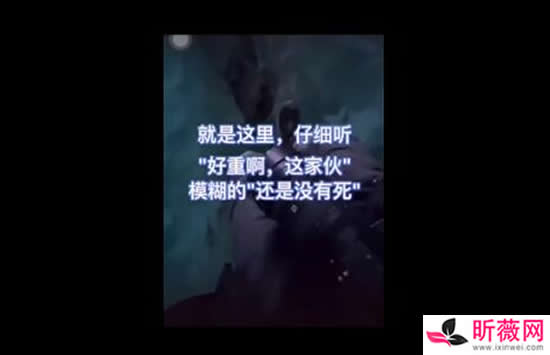 ��С쳸��������Ϲ���˭ ��С�����ô������