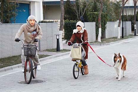 ����������������ô�� �����������к�����