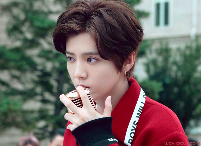 ¹�ϸ�ĸ��ʵ���� ¹���Ժյļ�������