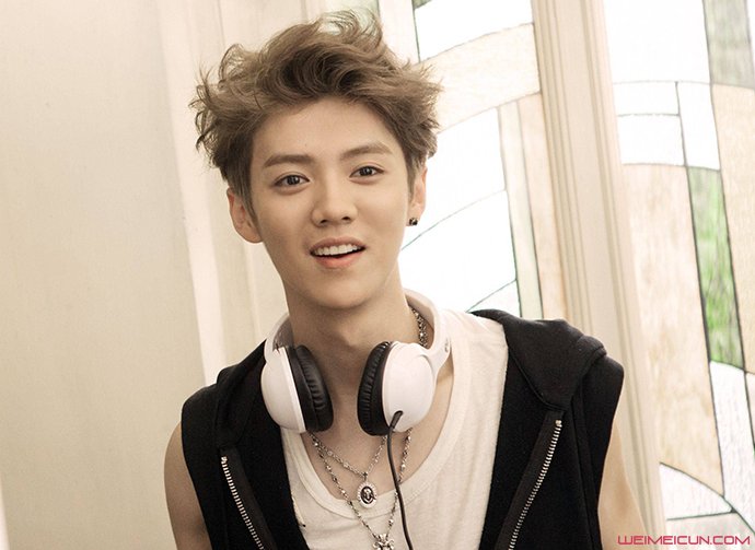 ¹�ϸ�ĸ��ʵ���� ¹���Ժյļ�������