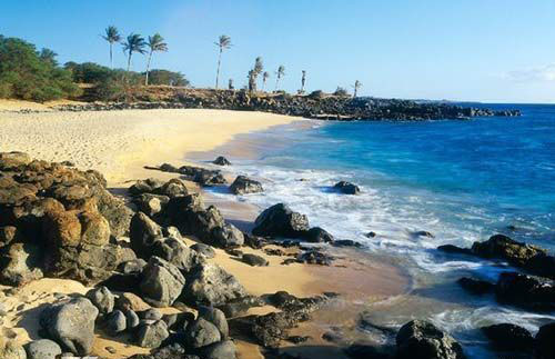 ʮ���������ܼ� ��10�ֶ������Ʋ�