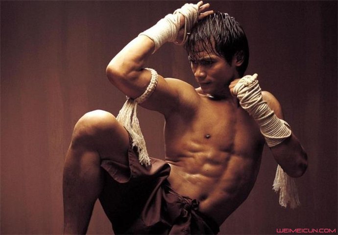 ����ָ������ϼ�� ̩�������С�����湦����