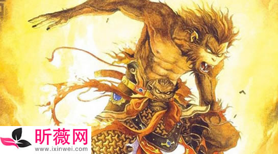 �ֲ�����ճ�ʲô�� ����յ������ж�ֲ�