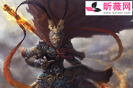 �ֲ�����ճ�ʲô�� ����յ������ж�ֲ�